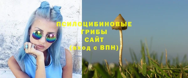 твердый Алзамай
