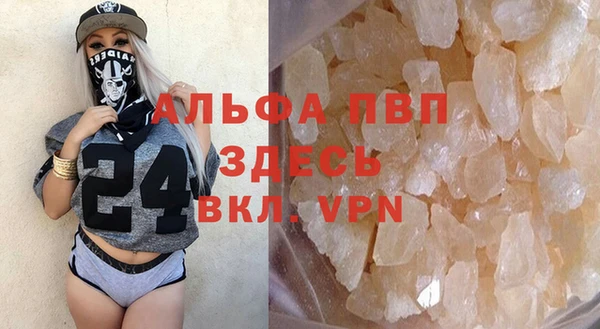 твердый Алзамай