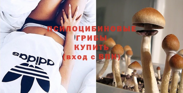 гидропоника Алексеевка