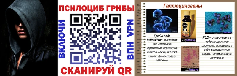kraken зеркало  Оленегорск  Галлюциногенные грибы GOLDEN TEACHER 