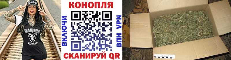 хочу   Оленегорск  Конопля сатива 